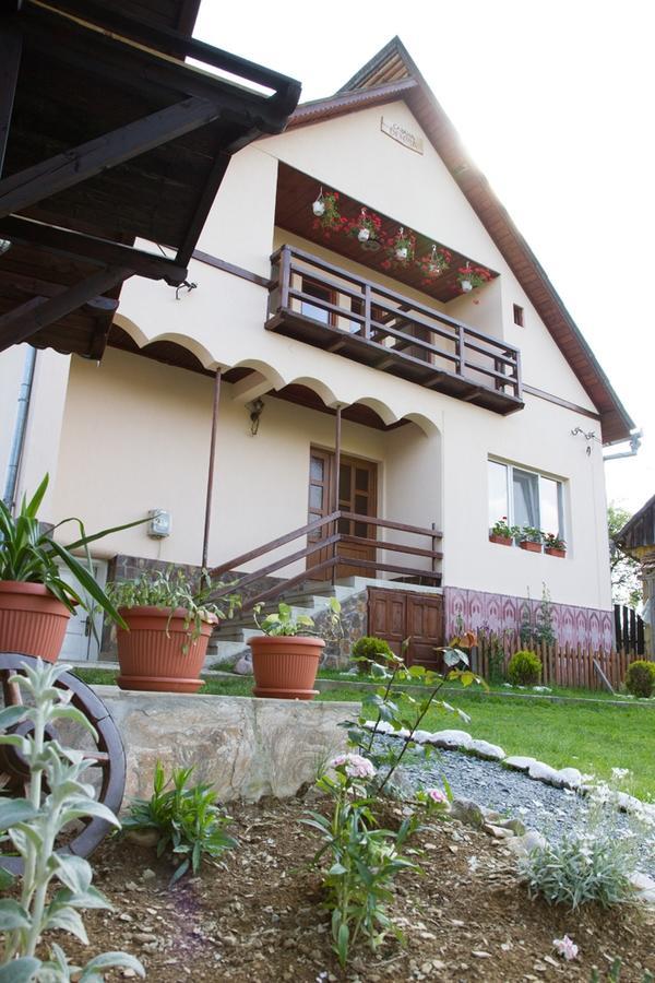 Cabana Denisa Arieşeni Exteriér fotografie